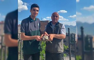 Şırnak’ta yaralı yaban hayvanları koruma altına...