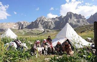 Sohmarik Yaylası doğaseverlerin gözdesi