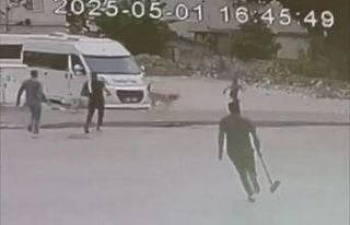 Sokak  köpekleri çocuğa saldırdı