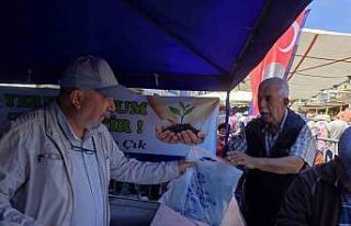 Söke’de 40 bin ata tohumu fidesi dağıtıldı