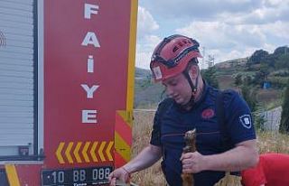 Su kanalına düşen keçi itfaiye ekiplerince kurtarıldı