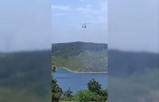 Sultangazi’de orman yangını