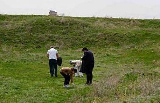 Tabyalarda bahar temizliği