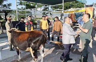 Talas’ta kurban pazarına başvurular başladı