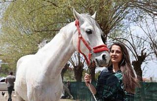 Tarihi dizilerde gördüler, biniciliğe merak saldılar