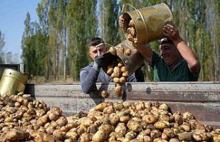 Tarım-GFE yıllık yüzde 29,73 arttı