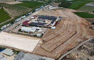 Tarsus’ta kurbanlık hayvan satışları tek alanda...