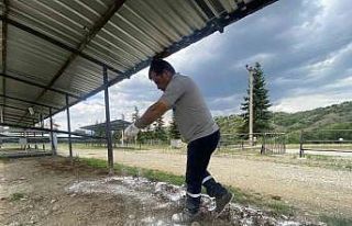 Taşköprü Belediyesi, Kurban Bayramı öncesinde...