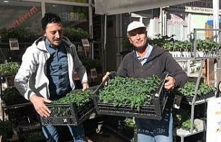 Tavşanlı’da fide çeşitliliği ile verimli sezon...