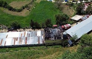 Tavuk çiftliğinde yangın: Binlerce hayvan telef...