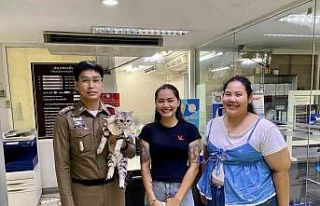 Tayland’da polisleri ısıran kedinin sabıka fotoğrafı...