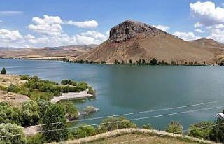 Tercan Barajının doluluk oranı yüzde yüze ulaştı