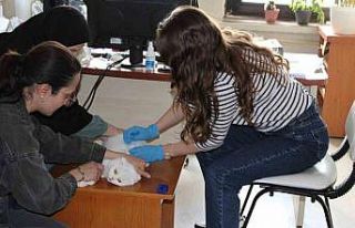 Tercan’da mikroçip çalışmaları devam ediyor