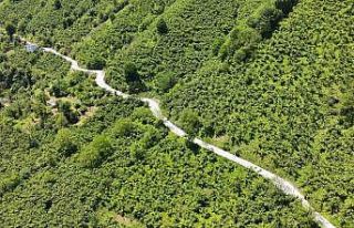 Terme’de beton yol çalışması