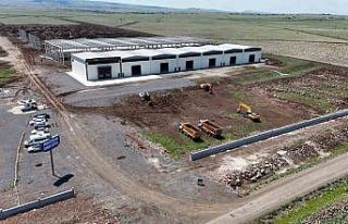 ’Terörsüz Türkiye’ süreci Diyarbakır’daki...