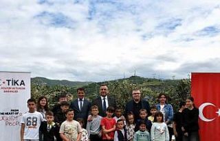 TİKA’dan Arnavutluk’taki yetim ailelere zeytin...