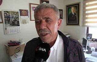 Tilki futbol sahasına girdi