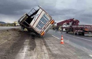 Tır devrildi, anguslar kayboldu