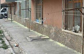 Tokat’ta iki kadının "fare kovma" yöntemi...