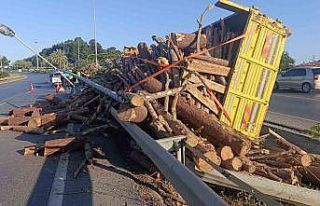 Tomruk yüklü kamyon bariyerleri aşıp refüje devrildi