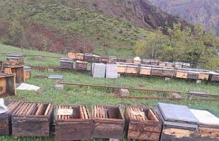 Tunceli Arı Yetiştiricileri Birliği Başkanı Doğan,...