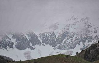 Tunceli’de yüksek kesimlere kar yağdı
