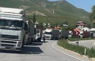 Türkiye-İran sınırında 2 kilometrelik tır kuyruğu