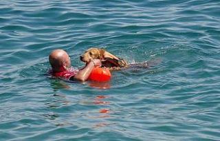 Türkiye’nin ilk sivil sualtı kurtarma köpeği...