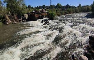 Uçan balıkların muhteşem görsel şöleni başladı