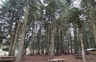 Uludağ’da 580 liraya 5 yıldızlı tatil başlıyor