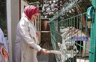 Üniversite öğrencilerinden Doğal Yaşam Merkezi’ne...