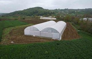 Üreticilere sera desteği