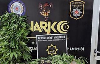 Uyuşturucu üreten şüpheli tutuklandı