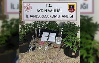 Uzaktan kontrolle metruk binada uyuşturucu yetiştirdi