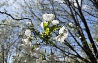 Uzmanı uyardı: "Sabah saatlerinde camları...