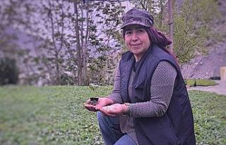 Uzundere’nin çiçek kadınları yılda 1 milyon...