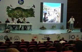 Van Gölü’nün oluşumu ve inci kefalinin mücadelesi