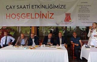 Van Kalesi önünde çay saati