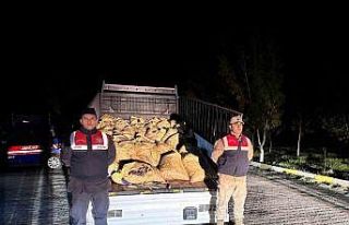 Van’da 3 ton 820 kilo kaçak avlanmış balık ele...