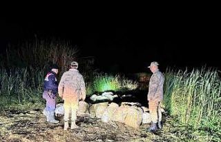 Van’da kaçak avlanmış 15 ton inci kefali ele...