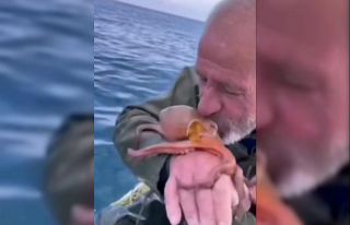 Yakaladığı ahtapotu öpüp sevdi, denize bıraktı