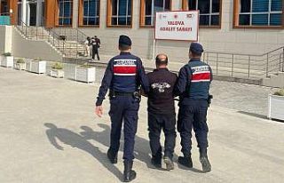Yalova’da 16 yıl hapisle aranan hükümlü yakalandı