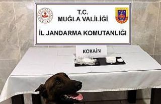 Yatağan’da yolcu otobüsünde 290 gram kokain yakalandı