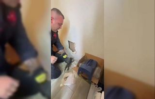 Yavruları duvar arasında mahsur kalan kedinin imdadına...