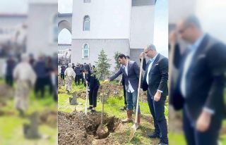 Yeşeren Umutlar, Filizlenen Gelecek