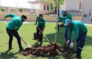 Yeşil alan çalışmalarıyla yaşamın kalitesi...