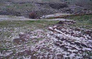 Yozgat’ta dolu yağışı yüksek kesimleri beyaza...