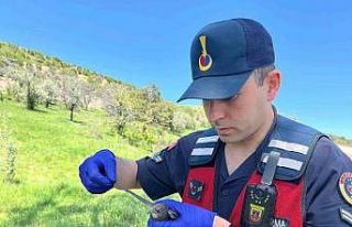 Yozgat’ta yaralı bulunan Ebabil kuşu emin ellerde
