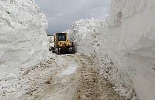 Yüksekova’da 3 metrelik karda yol açma çalışması