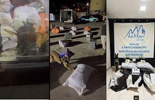 Yüksekova’da kargo aracında 6 kilo skunk ele geçirildi